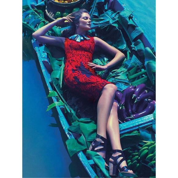 Anthropologie PANKAJ & NIDHI Woman’s 0 Petite Spice Tree Appliqué Sleeveless Dre - Picture 1 of 11